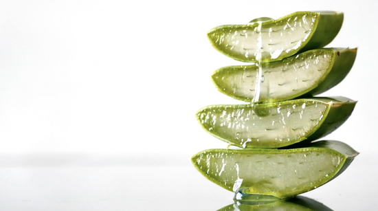 Does Aloe Vera Cure Hair Loss?