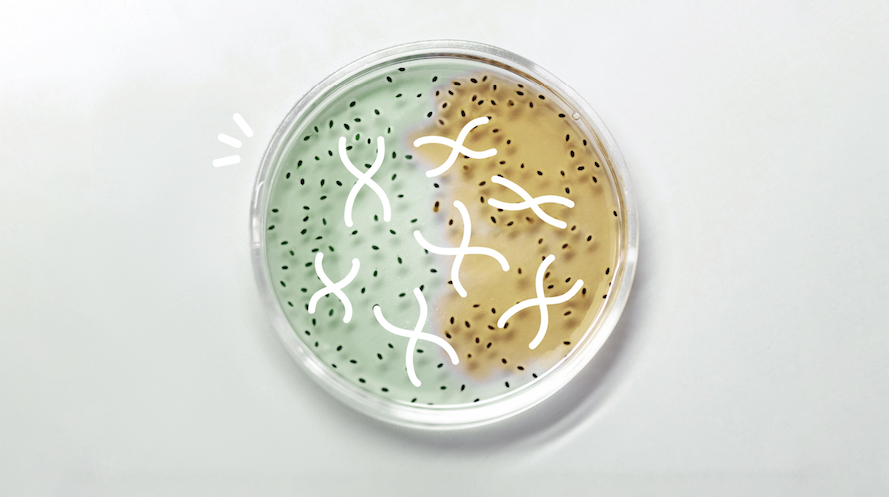 What is the Relationship Between Genes and Hair Loss?